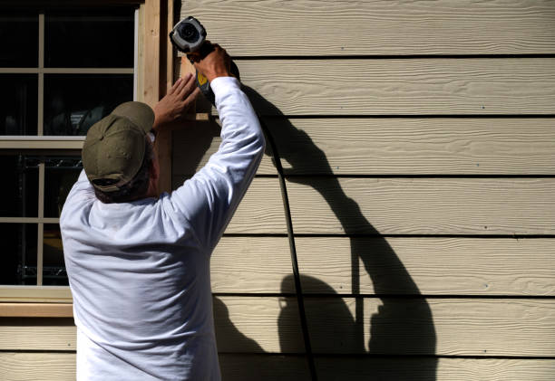 Best Custom Siding Design  in Somerville, NJ